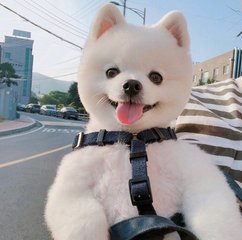 TPWallet钱包苹果版